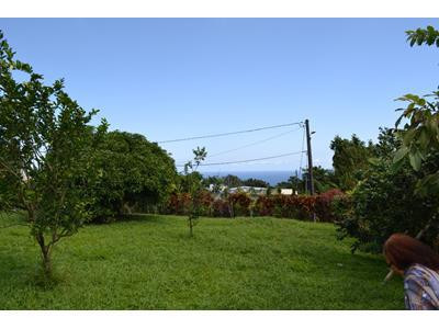 Dans cadre verdoyant - Basse pointe